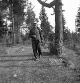 Bränslekommission skogshuggare.18 juni 1947.