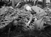 Brand på militäranlägningen I 14. 16 augusti 1947. Reportage för Arbetarbladet.