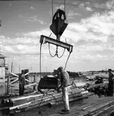 Linbana vid Korsnäs fabrik. 27 augusti 1947. Nordströms Linbanor AB, Vasagatan 16, Stockholm.