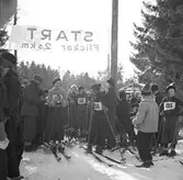 Skidtävlingar på Rödjningen. Flickor 2,5 km