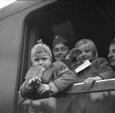 Norgebarn på Centralstationen. September 1945