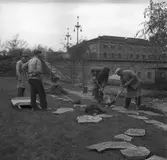 Arbeten vid Drottningbron
