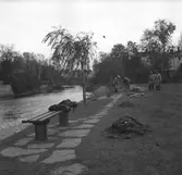 Arbeten vid Drottningbron
