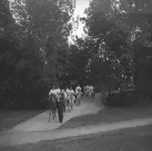 Midsommar i Furuvik.