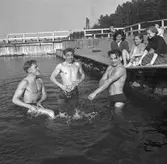 Furuvik, Sandvik. Den 14 april 1953. Premiär på badsäsongen