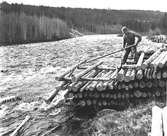 Flottningsarbetarna hjälper till att få timmer och massaveden ned i vattendragen. Den 9 juni 1950. Korsnäs AB är ett av Sveriges ledande skogsindustriföretag som tillverkar kartong, säck- och kraftpapper, fluffmassa till hygienprodukter och sågade trävaror.
