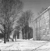 Holmsund. Korsnäs AB. Den 3 mars 1955. Redan från början av bolagets verksamhet anlades bostäder för de anställda enligt tidens krav och möjligheter vid de olika tidpunkterna.