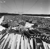 Skogarna. Korsnäs AB. Den 20 april 1955. Genom avveckling av avverkningsmogen skog och anläggning av nya högklassiga bestånd i dess ställe bedrives en intensiv och rationell skogsvård, som syftar till en hög och jämn råvaruförsörjning