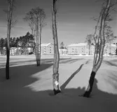 Flerfamiljshus. Genom intensifierad byggnadsverksamhet för de anställda finns det villor, dubbelhus, radhus och flerfamiljshus. Korsnäs AB. Den 14 januari 1959

