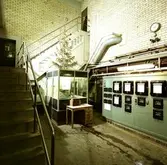 Julgran i Klorfabriken. Korsnäs AB. Den 29 december 1960
