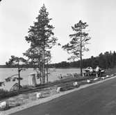 En rastplats med sopsäckar från Korsnäs AB. Den 8 juni 1961

