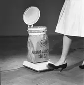 Soptunna med sopsäck från Korsnäs AB med pedalöppning.  Den 8 juni 1961
