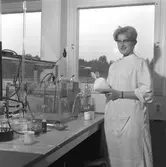 Interiör för Pressbilder. Korsnäs AB. Den 4 september 1962.
