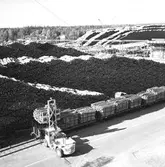 Timmertruck. Korsnäs AB. Den 23 september 1963
