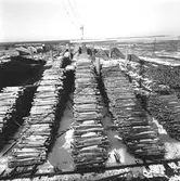 Massaved vid sågen. Korsnäs. Den 14 mars 1964
