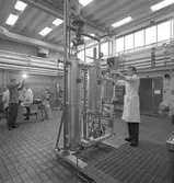 Forskningen. Korsnäs AB. Den 26 oktober 1964
