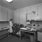 Forskningen. Korsnäs AB. Den 26 oktober 1964
