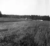 Skogsgödsling. Korsnäs AB. Den 20 junil 1967
