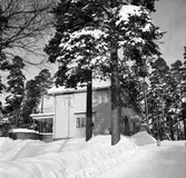 Vinter i Bomhus. Korsnäs AB