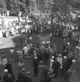 100-årsjubileum. 1855-1955. Korsnäs AB. Avtäckning av bronsskulpturen 