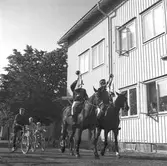 100-årsjubileum. 1855-1955. Korsnäs AB