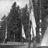 100-årsjubileum. 1855-1955. Korsnäs AB.