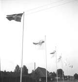 100-årsjubileum. 1855-1955. Korsnäs AB. Folkparkens entré