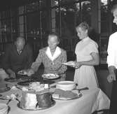 Folkparken. 100 -årsjubileum. 1855-1955. Korsnäs AB.