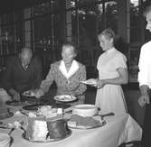 Folkparken. 100 -årsjubileum. 1855-1955. Korsnäs AB.