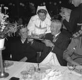 Folkparken. 100 -årsjubileum. 1855-1955. Korsnäs AB.