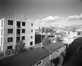 Stockholms Siporex AB. Nybygge. Den 14 oktober 1954
