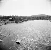 Jordbruksfastighet. Skogsvårdsstyrelsen.