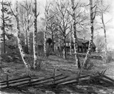 Tavla av konstnär Vilhelm Matton, 27 maj 1946. Konstnär, tecknare, född 1901 i Gävle - död 1971 i Öregrund. Han har studerat på olika konstskolor i Stockholm. Han har arbetat med genremotiv, landskap, gärna med snö, samt blommor. Separatutställning: i Gävles stadshus, 1952 med Gävlebilder. Han var även känd som fotograf.