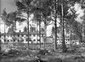Kornäs Sågverk AB. Tjänstemannabostäder vid Rudsjön, Storhagen, Bomhus. Juni 1946.
