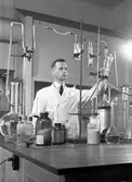Laboratorium på Kornäs Sågverk AB. Juni 1946.