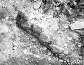 Överkyrka kyrkoruin  från undersökningen 1954.