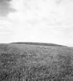 Rösebotten: Inlagd åkersten för av staden tagas till krossen och det som ej passar därtill får läggas i stenmuren.