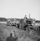 Skyllberg. Bildsidan.
1 oktober 1955.