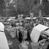 Marknaden i Fjugesta.
6 oktober 1955.