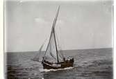 Gåva av Otto von Fieandt.
Dristigheten 1909.  Spansk fiskebåt 1909. Taget från
Dristigheten