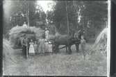 Algot med familj kör in råg 1935.