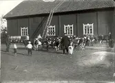 Från Björkhult 1915, kanske är det kalvar som ska släppas ut på bete på våren.