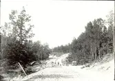 Vägbygge i Hjorted socken 1932.