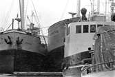 Ekensbergs varv 1970; från v till h de finska lastfartygen SVANSJÖ (urspr. FINKENWARDER) och MARIESTRAND (urspr. BLÀFELL) samt bogserbåten RENÖ (b. 1918, ursprungligen marinens hjälpfartyg SÖKAREN).