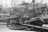 Fartyg på Ekensbergs varv 1970; på bilden ses bl. a.  de finska lastfartygen SVANSJÖ (urspr. FINKENWARDER) och MARIESTRAND (urspr. BLÀFELL) samt bogserbåten RENÖ (urspr. marinens hjälpfartyg SÖKAREN); vidare i lilla dockan det danska lastmotorfartyget TONNA samt i stora dockan det Panama-registrerade lastmotorfartyget BECKY.