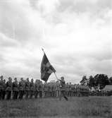 Regementets dag 1949