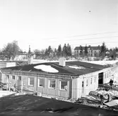 Joel Mattssons lagerbyggnad. Den 28 februari 1950