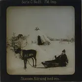 Samevistet, vinterbild. I förgrunden ren, ackja och en man iklädd samisk dräkt. I bakgrunden kåtor.