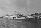 Fartyg på Ekensbergs varv 1970; i förgrunden lastmotorfartyget SVANSJÖ (urspr. FINKENWARDER); vidare skymtar lastfartygen TONNA i lilla dockan, MARIESTRAND (urspr. BLÁFELL) samt BECKY i stora dockan,