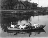 Carl Alsing år 1918. Fotograf E. Sörman.